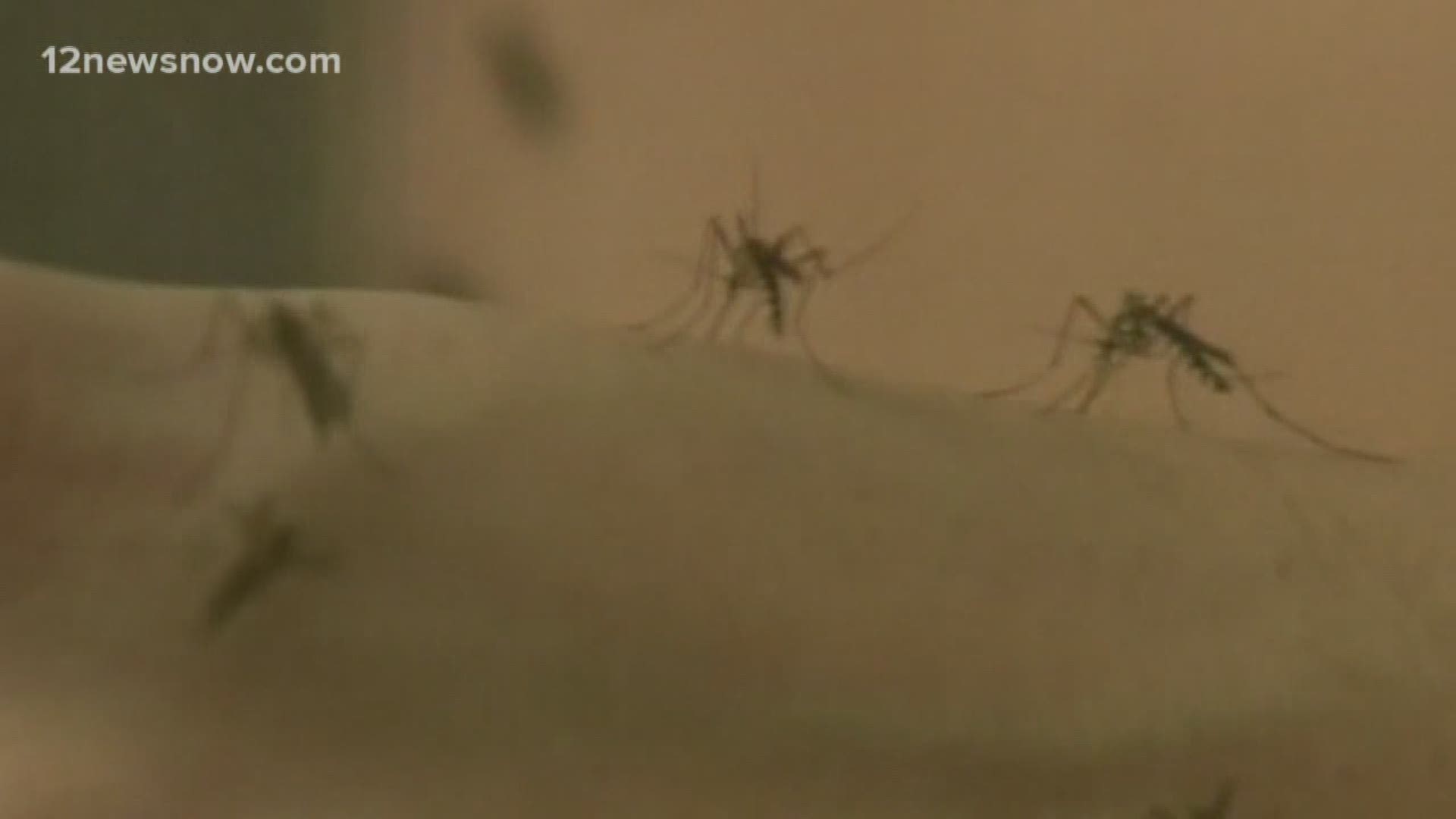 With mosquito samples in Harris and Montgomery counties testing positive for West Nile Virus, health experts are warning people to take precautionary measures against mosquito bites.