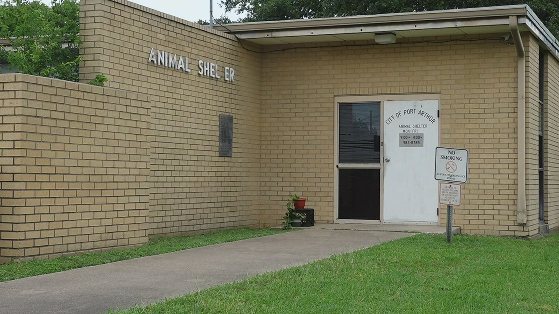 Veterinarian Dr. Kelley Kays says a new shelter is nice, but she doesn't want to wait and wants to start a vaccination program now to help break the cycle.