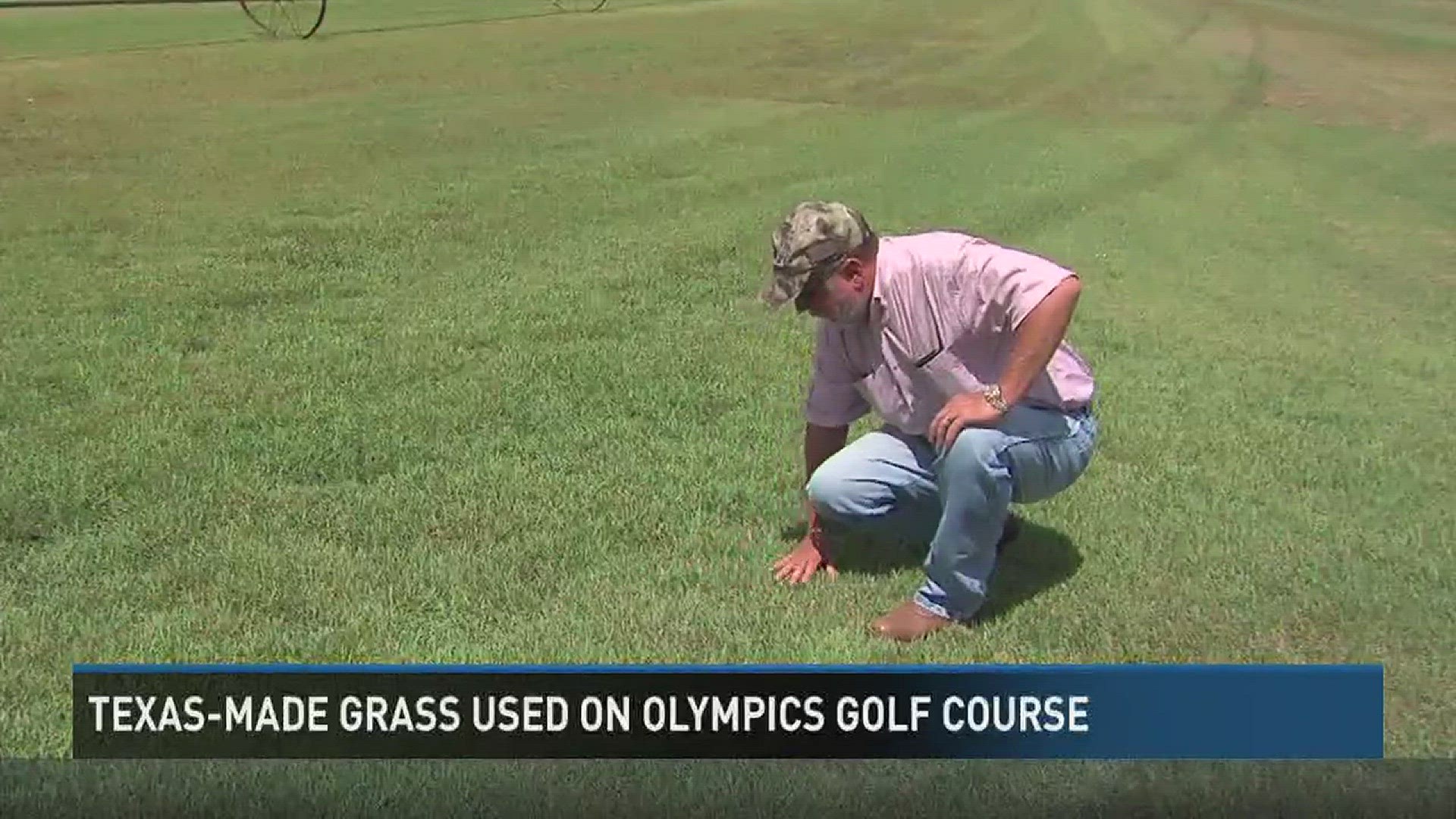 Grass used in Rio golf courses comes from Southeast Texas