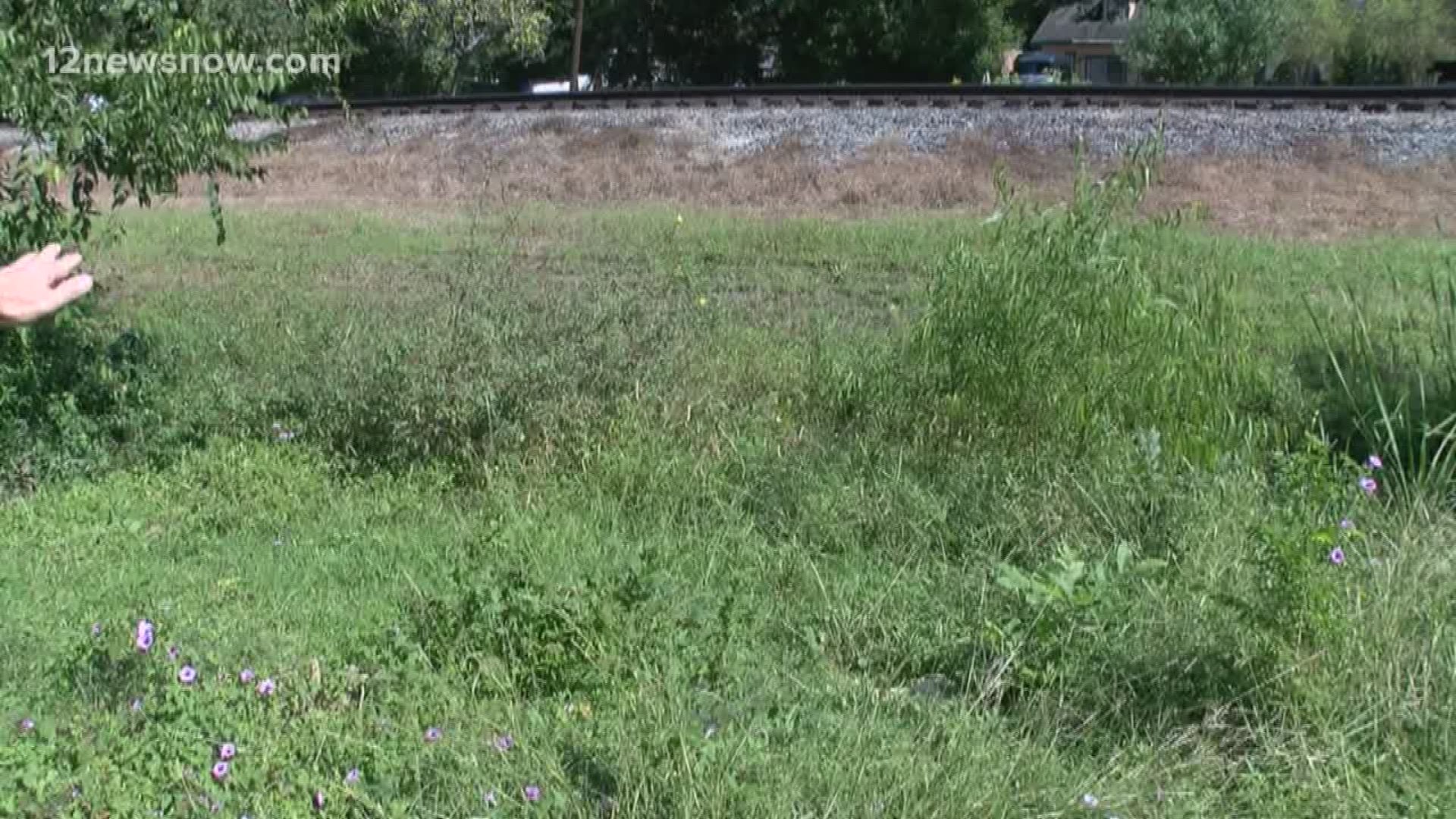 70-year-old Port Arthur man pleads with city to clear overgrown drainage ditch
