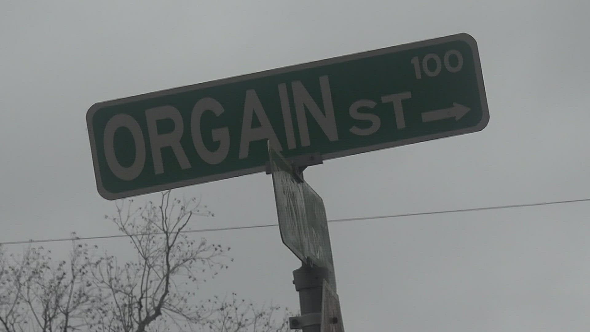 On Monday residents of Orgain Street in Caldwood told 12News one of their neighbors allowed their dog to roam freely.