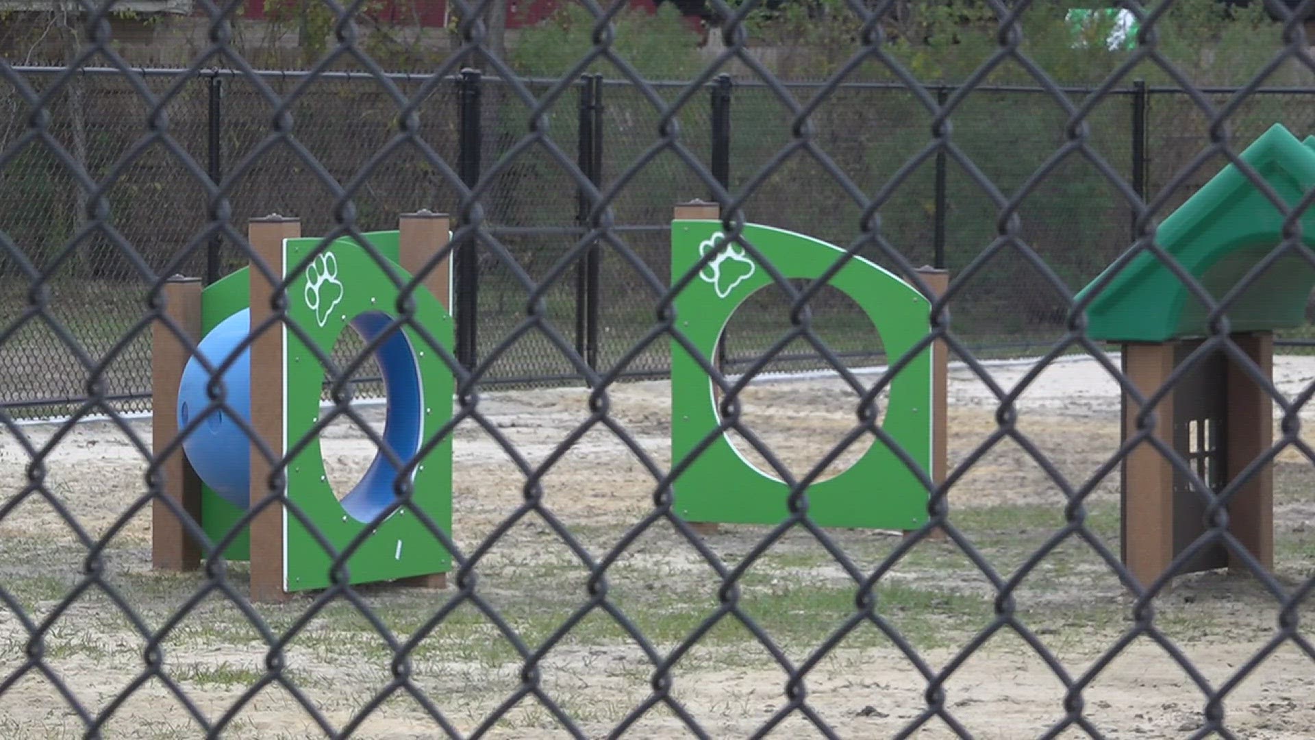 This new dog park was apart of a $1.4 million budget approved in 2022 to update parks across the city.