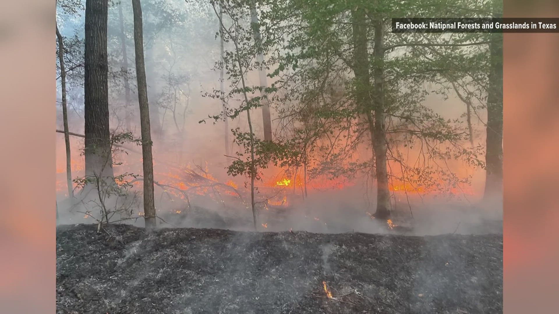 The declaration states the wildfires pose an imminent threat of widespread or severe damage, injury, or loss of life or property in multiple counties across Texas.