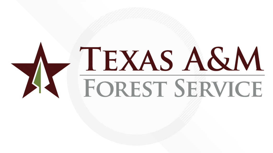 SE Texas rural fire departments receive $160K in grants - Vimarsana News