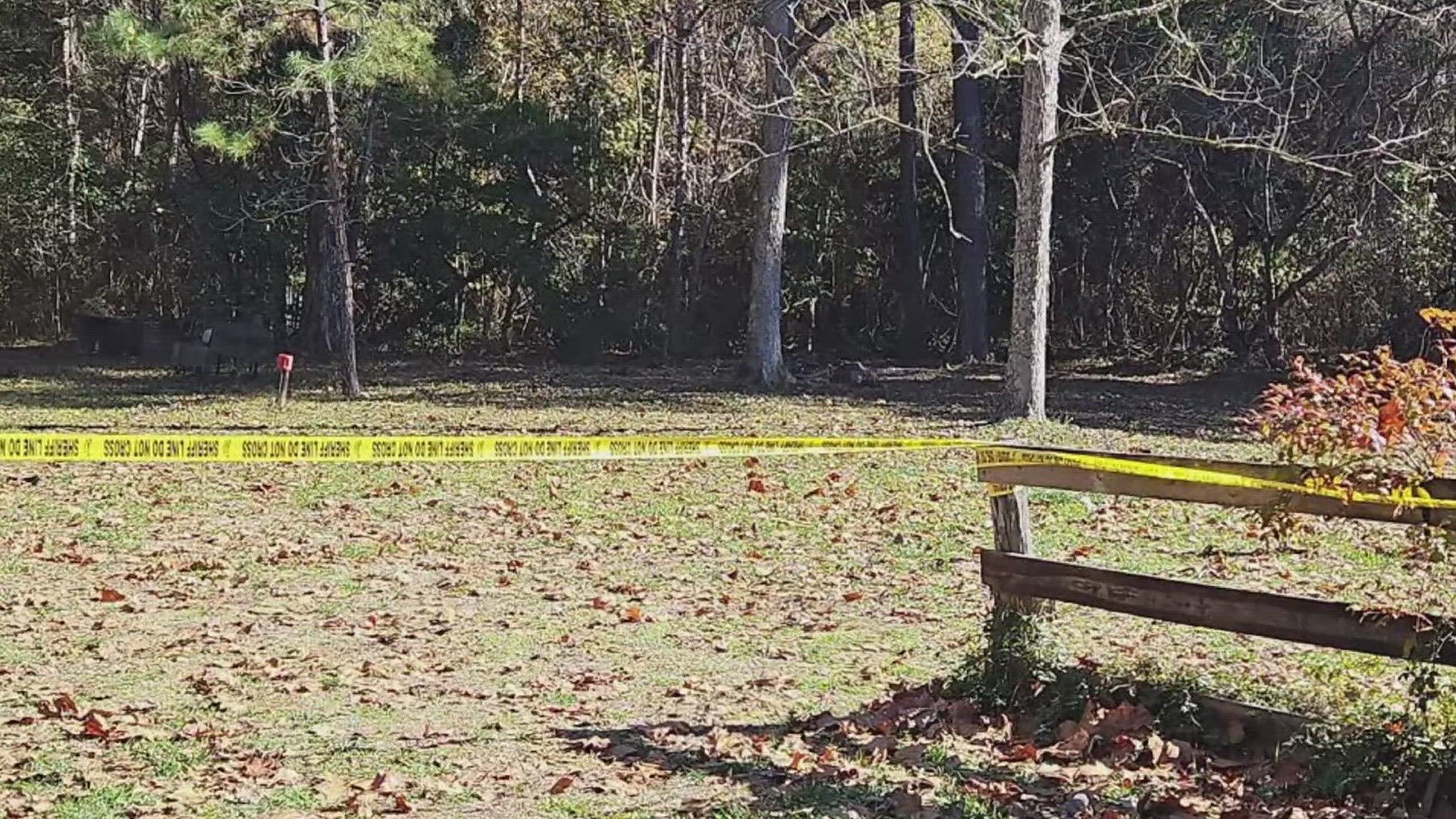 A search was made of what deputies described as a "historical residence and property" but no other remains were found.