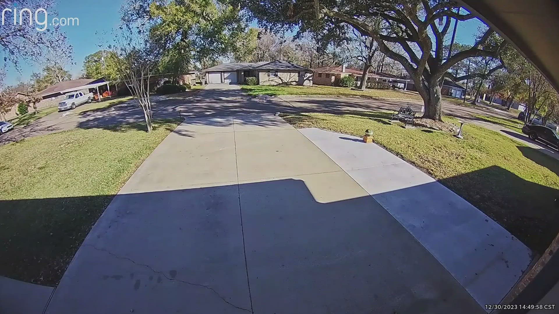 People living along Orgain Street in Caldwood tell 12News one of their neighbors allows their aggressive dog to roam freely.