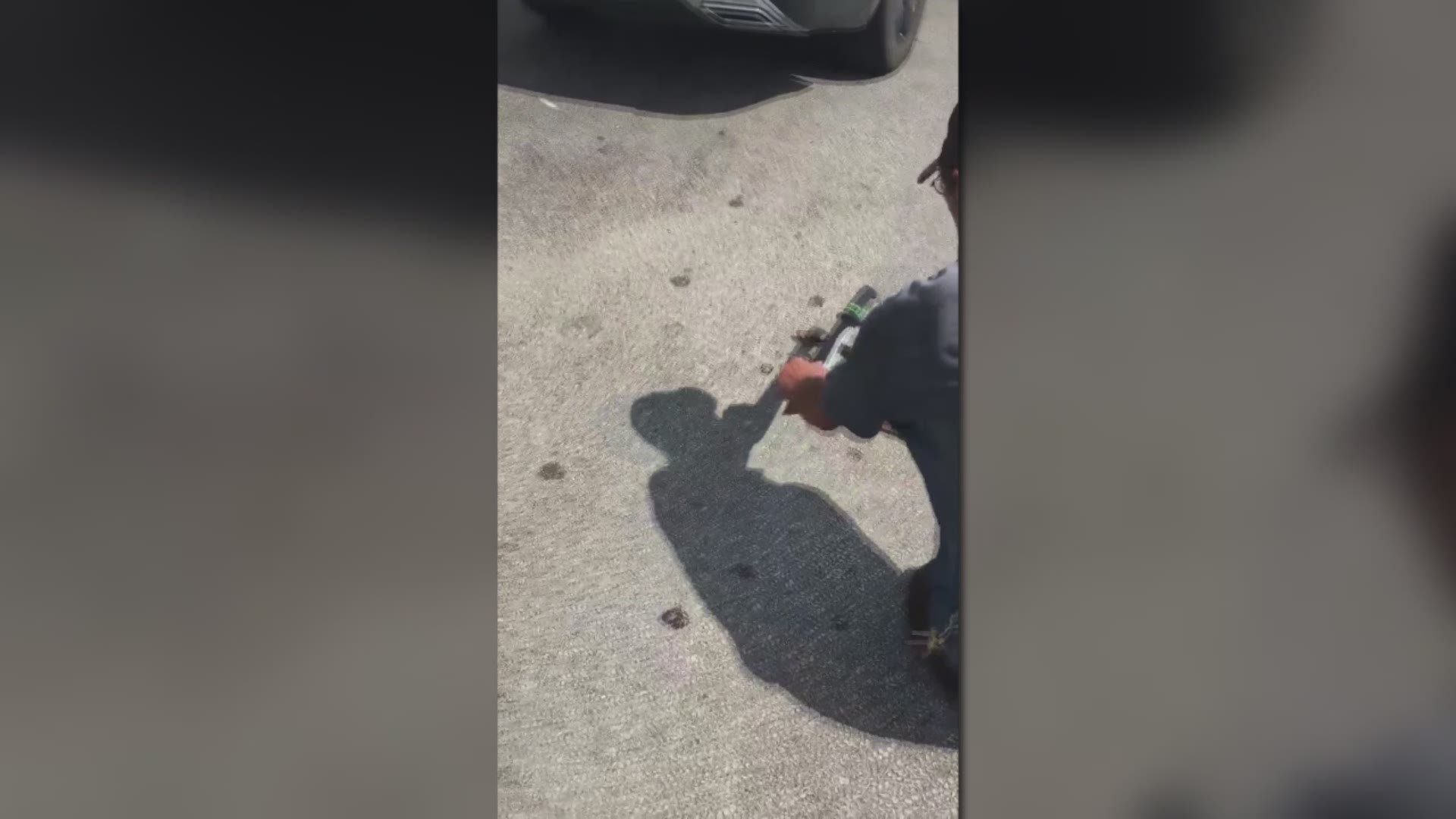 Rattlesnake captured with machete in Beaumont parking lot
