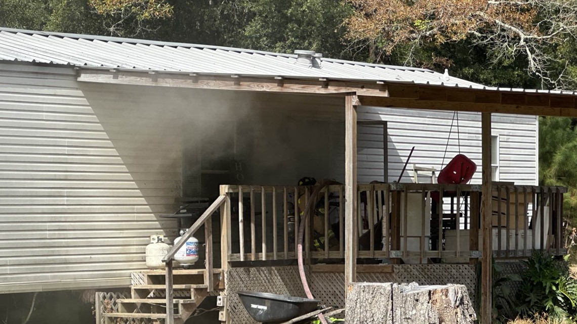 Family dog, cats, lizard rescued from house fire - Vimarsana News