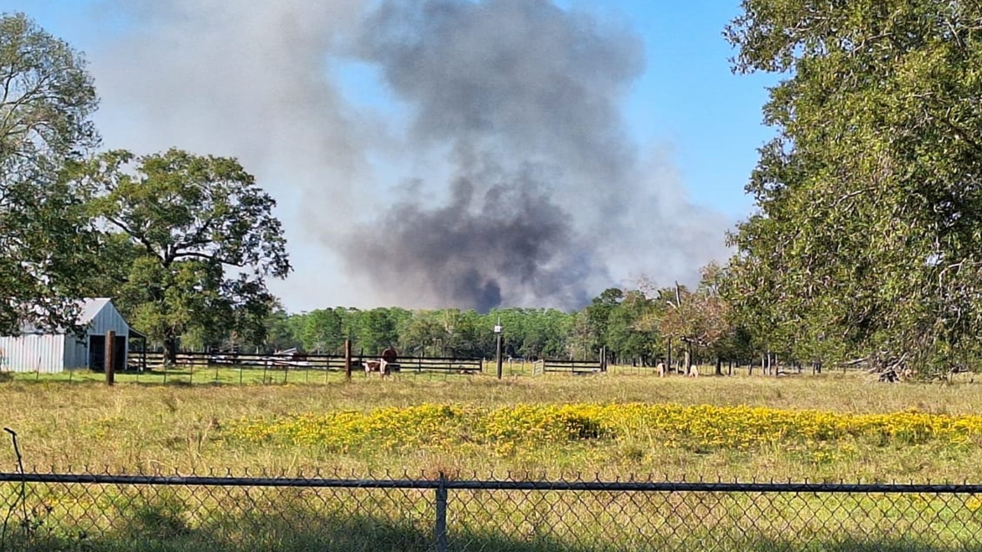 With only about a mile between the fire and the Orange County line, Jasper County Judge Mark Allen says his main concern was the fast-spreading flames.