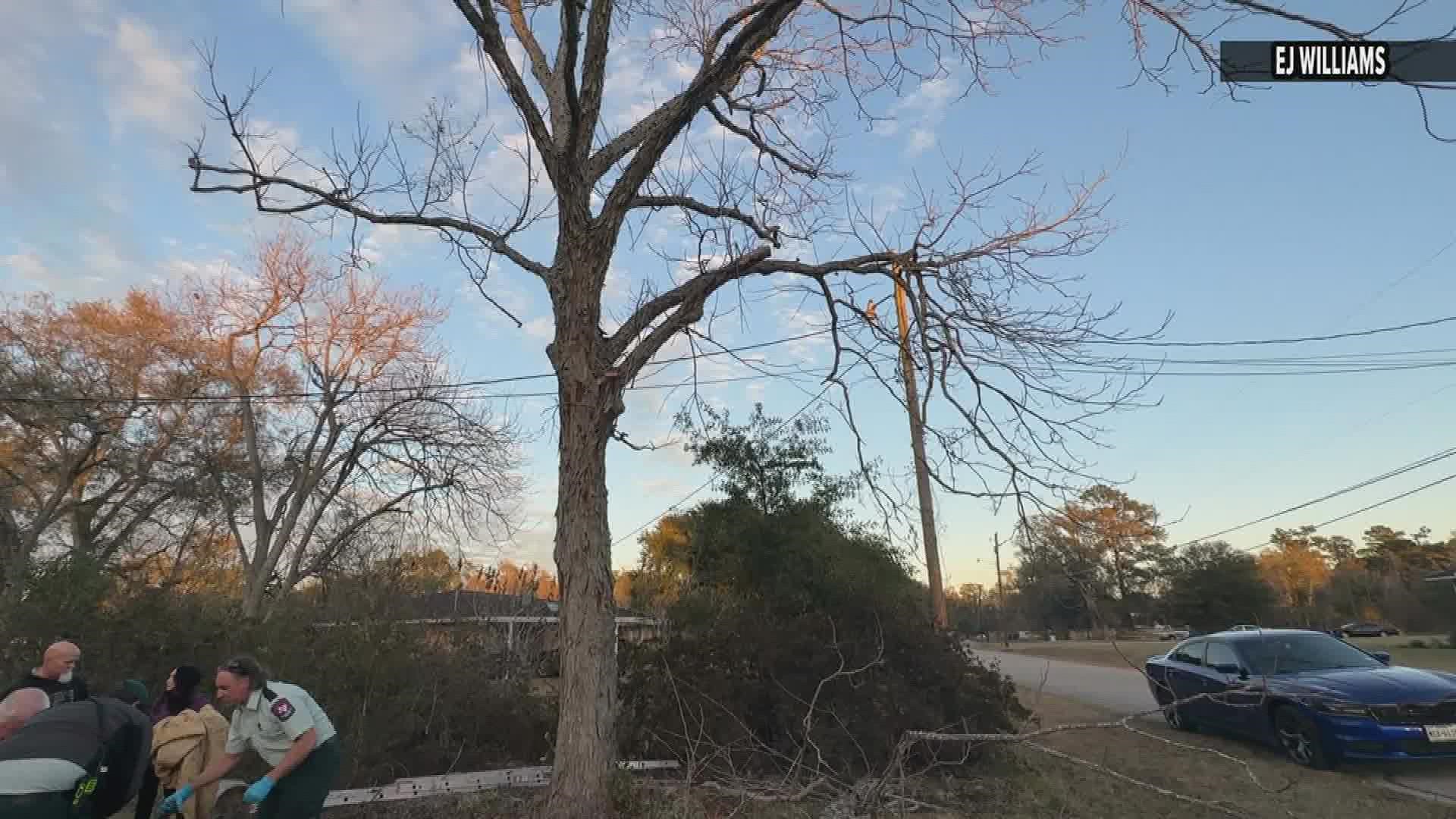 A man was cutting a tree when he fell about 30 feet and landed on his head.
