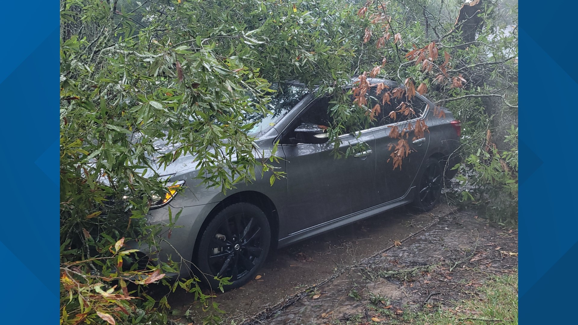 EF2 tornado ripped through parts of Orange County | 12newsnow.com