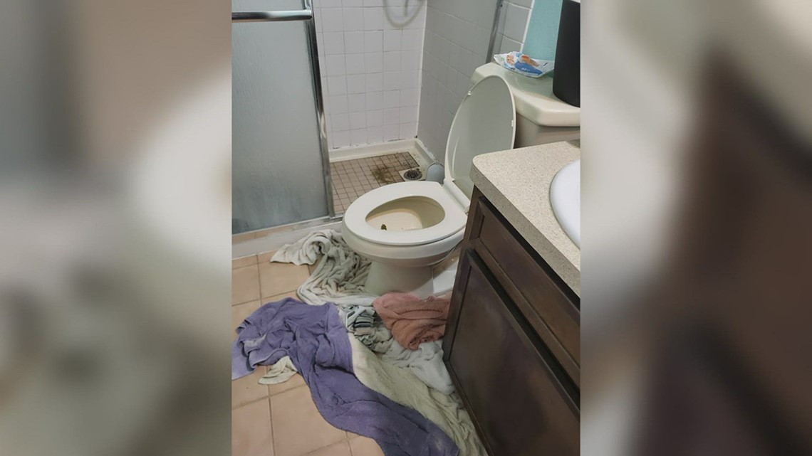 Sewage backs up into Port Arthur home - Vimarsana News