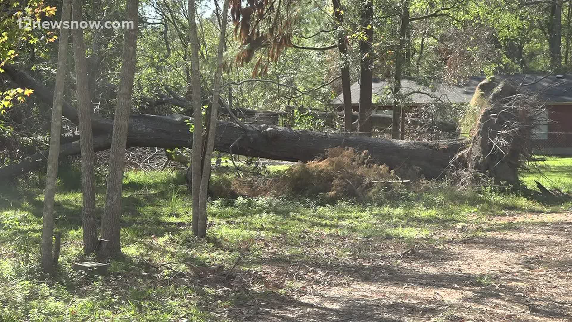 Cleanup from Hurricane Laura continues as downed trees and debris piles line the streets in Orange County months after the storm hit Southeast Texas.