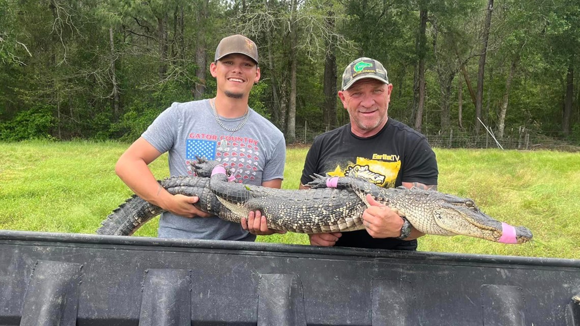 Seven-foot gator rescued from Mauriceville pond | 12newsnow.com