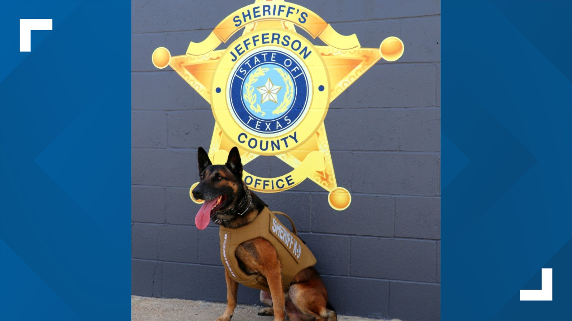 Police K9 Receives Body Armor From Vested Interest In K9s Inc