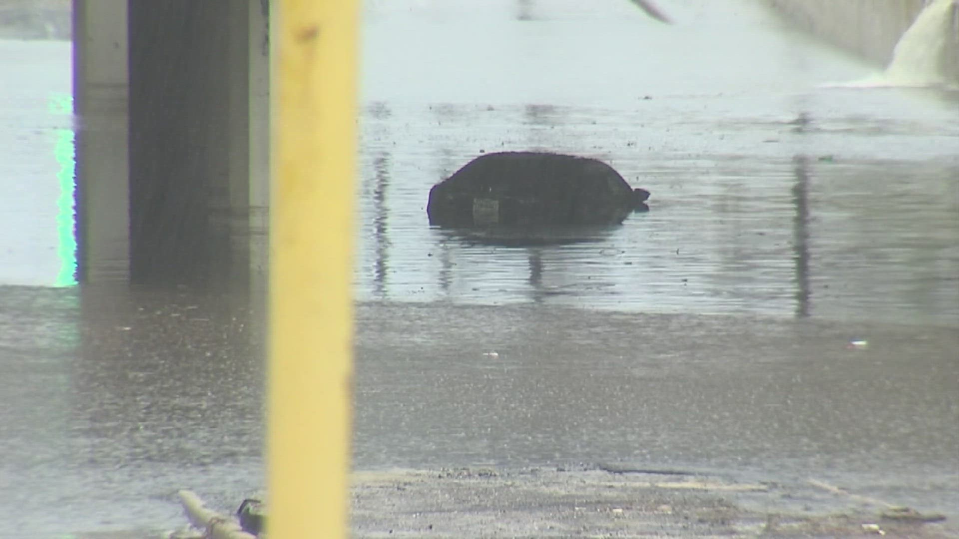 Early Wednesday morning rains cause street flooding around Beaumont