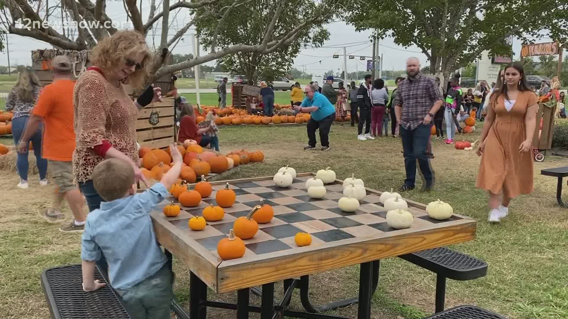 Pumpkin Patch now open at Wesley UMC in Beaumont