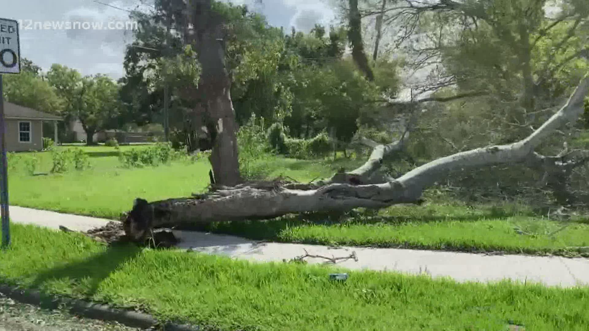 Trees were toppled, power lights were disconnected and some businesses were damaged after heavy winds hit the area.