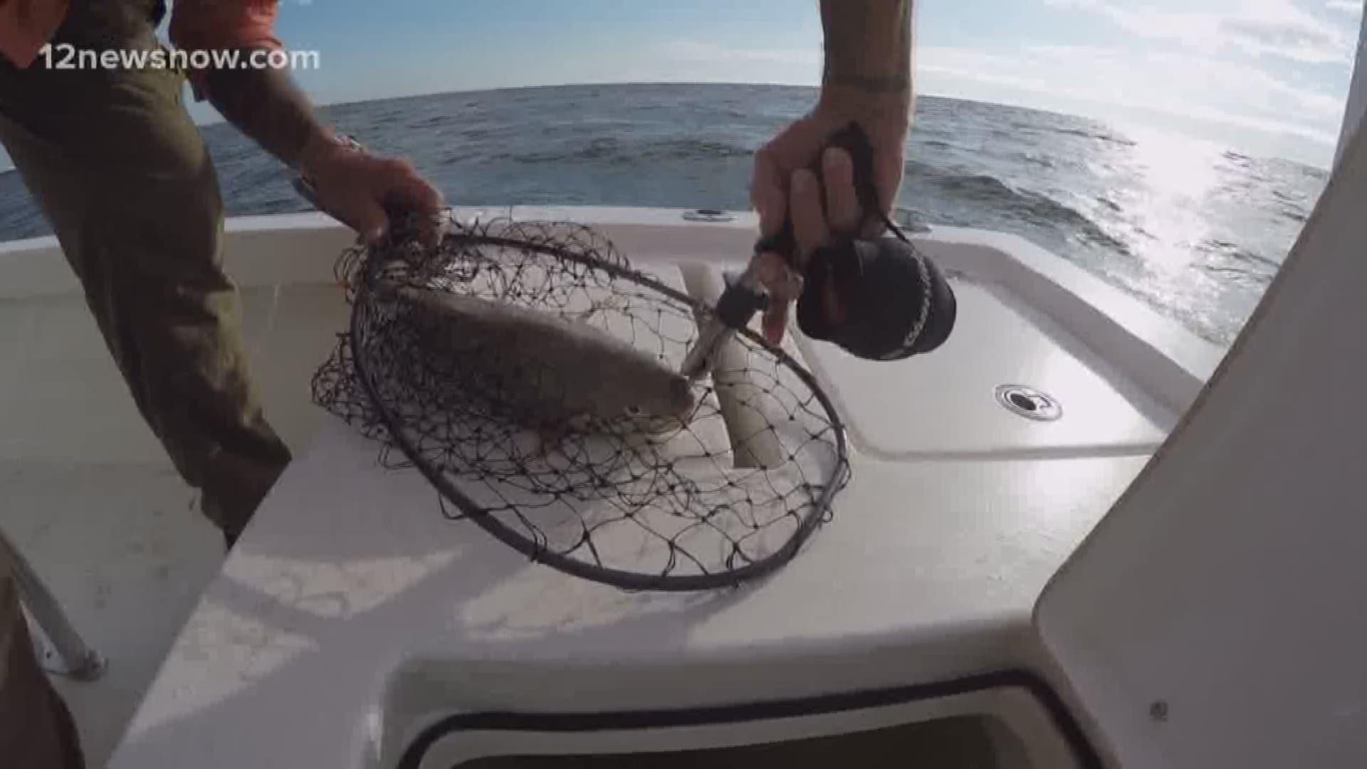 After Saturday night catch, release teen plans to re-catch redfish that could win him truck, boat