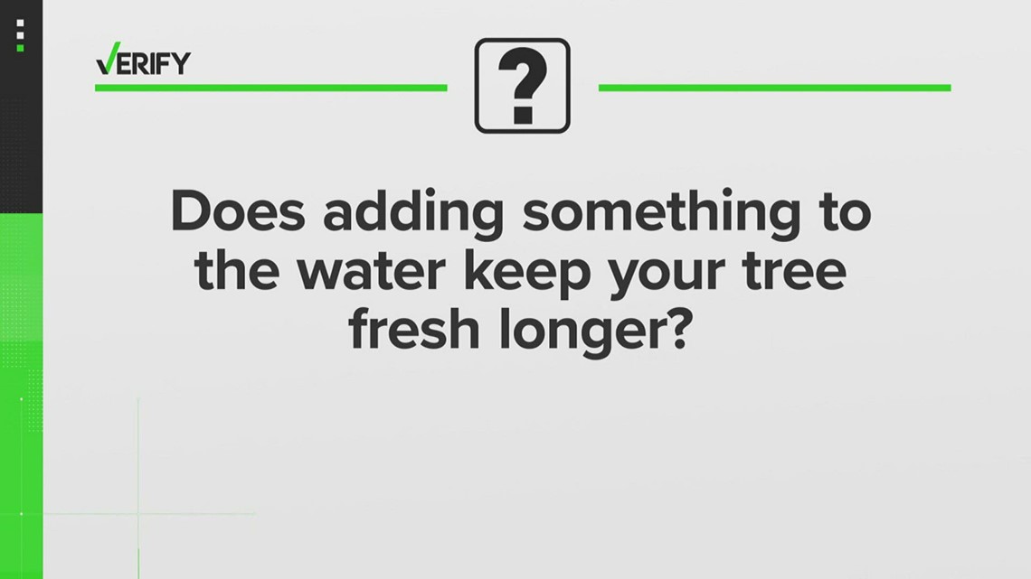 VERIFY | Does adding something to the water keep your tree fresh longer?