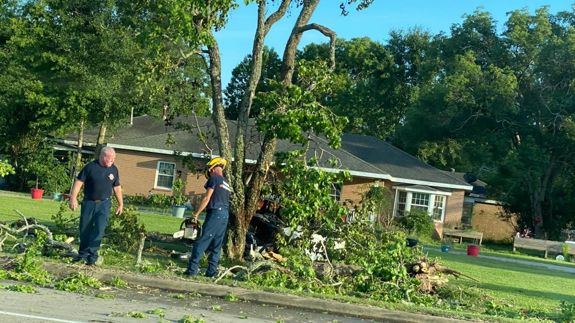 Beaumont driver after SUV hits tree on Highway 105 | 12newsnow.com