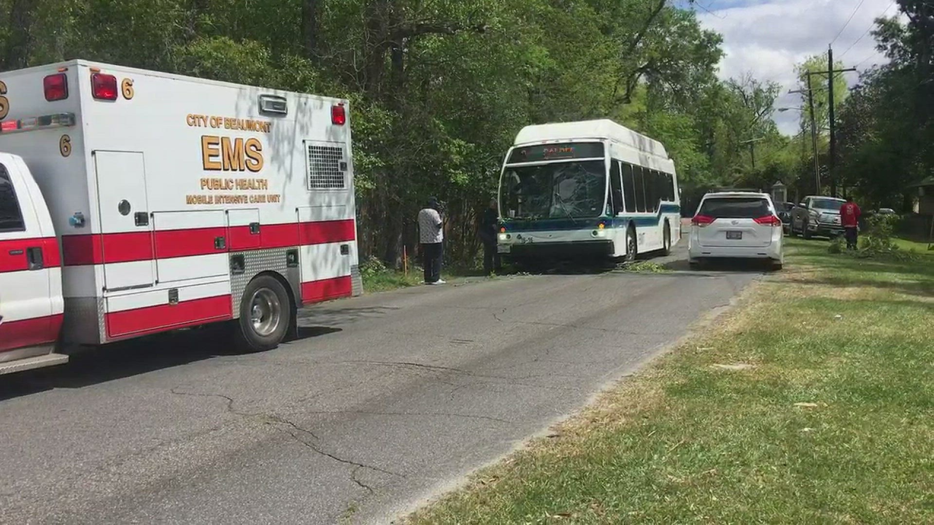 Tree limb hits Beaumont Municipal Transit bus smashes windshield