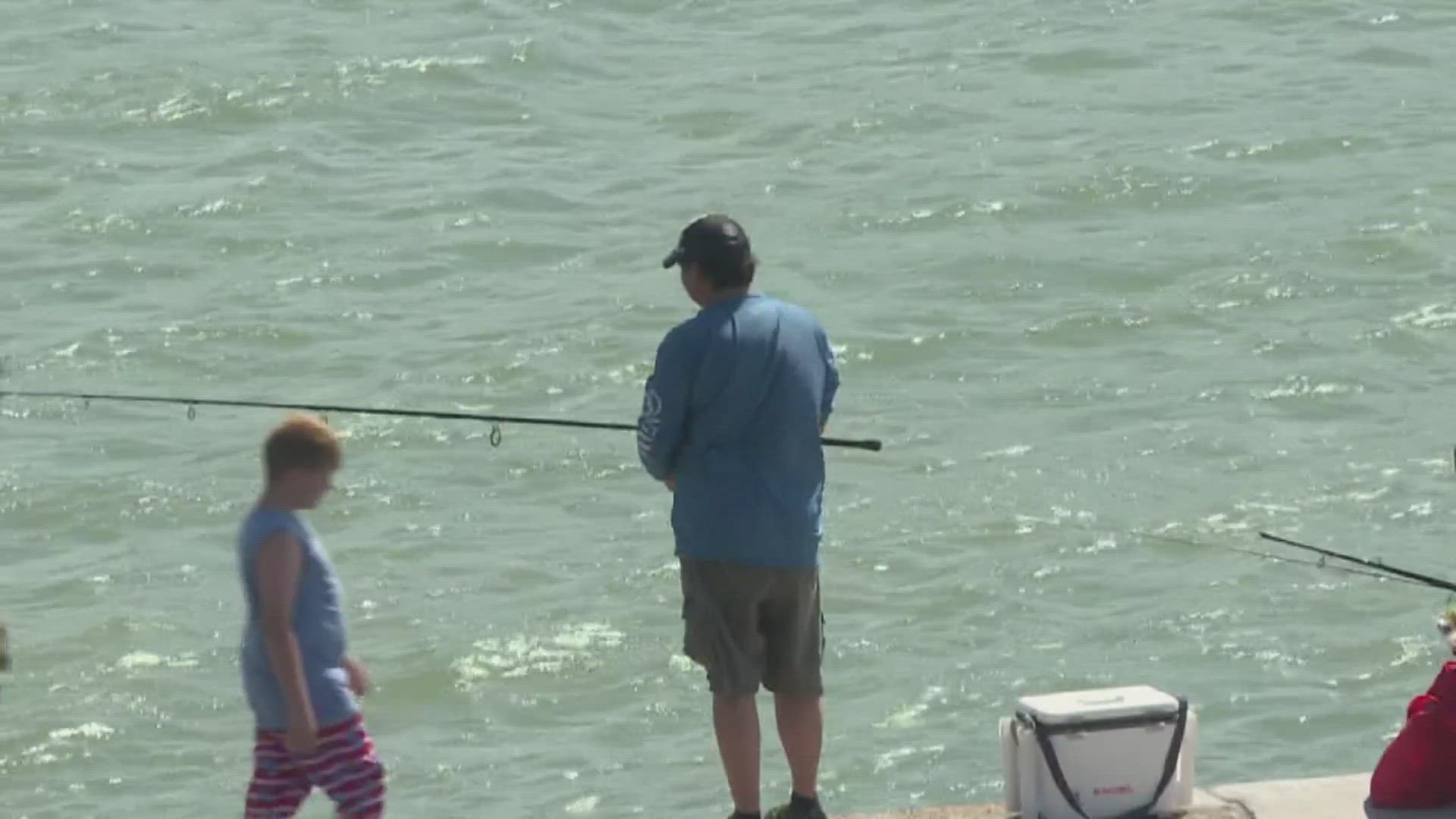 Once a year, Texas Parks and Wildlife allows everyone to fish in any public body of water without a fishing license. It begins at midnight and runs until noon.
