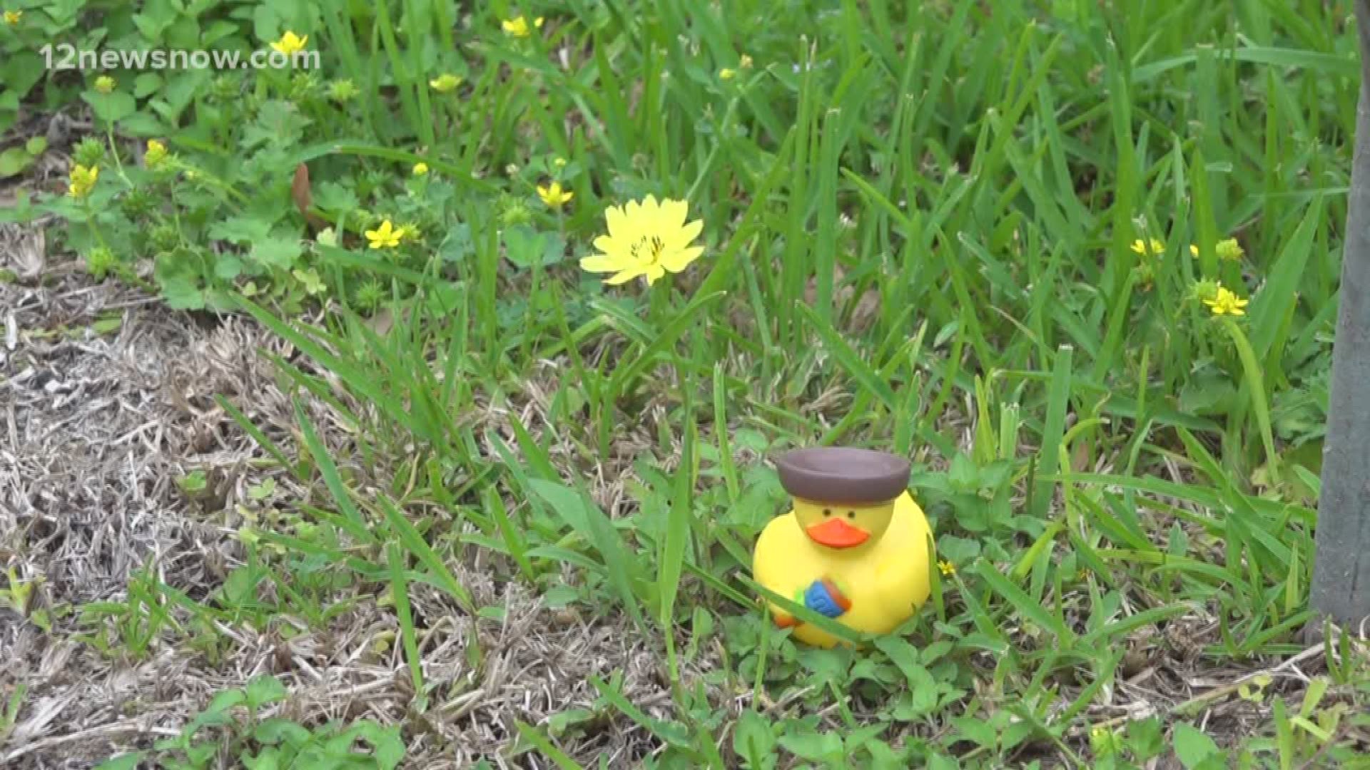 A flock of rubber duckies have taken over parts of the town. They're all apart of a new game to help keep kids entertained, and spread a little cheer.