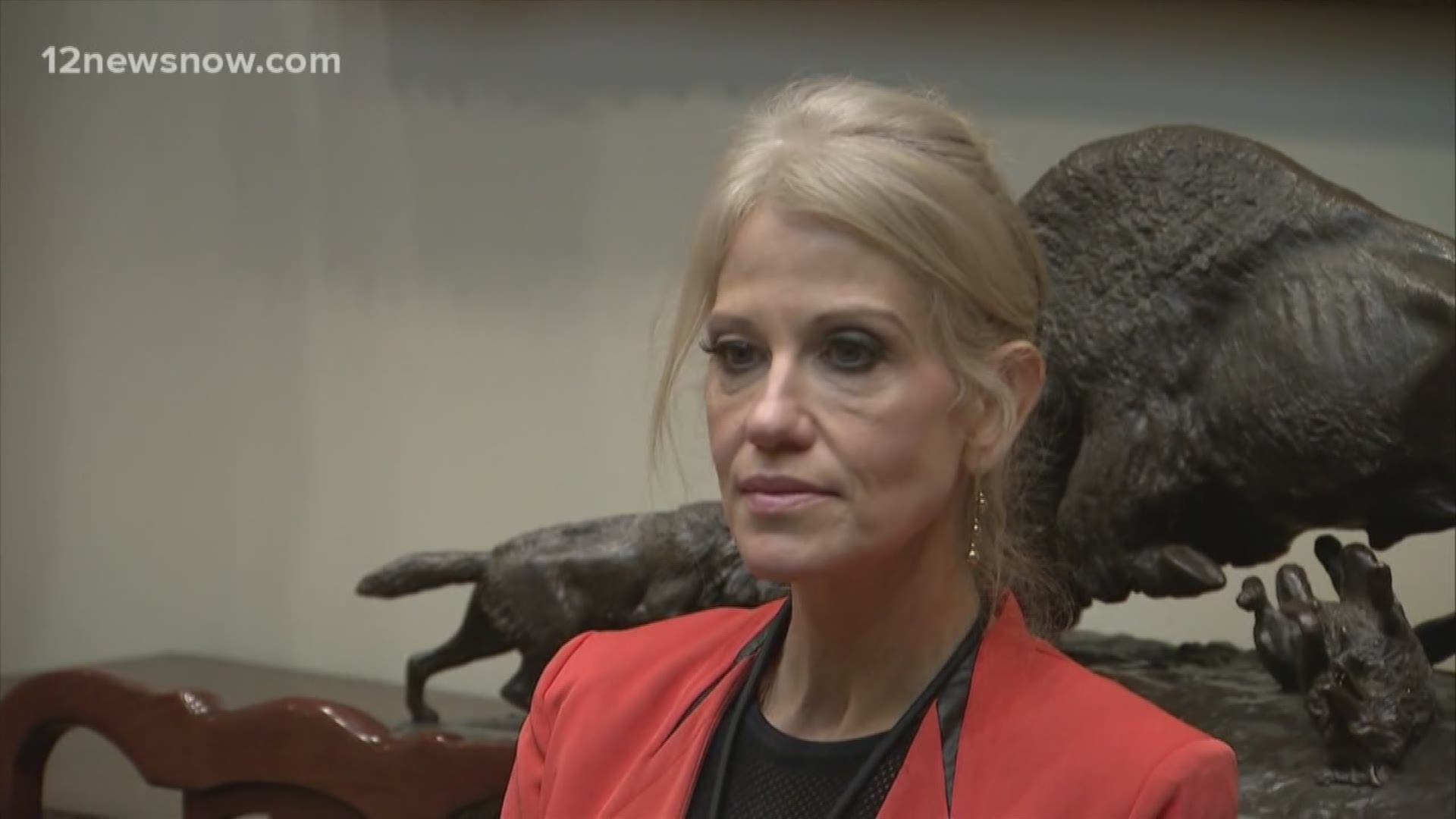 The office of special counsel said Conway repeatedly violated the 'Hatch Act' banning executive employees from using their platform for political activity.