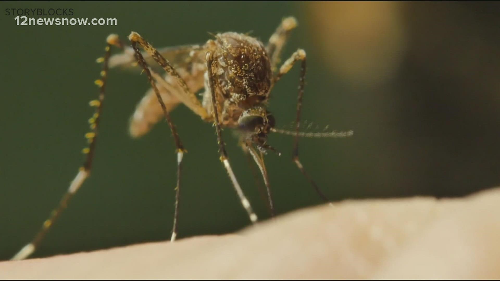 We're getting answers surrounding mosquito myths.