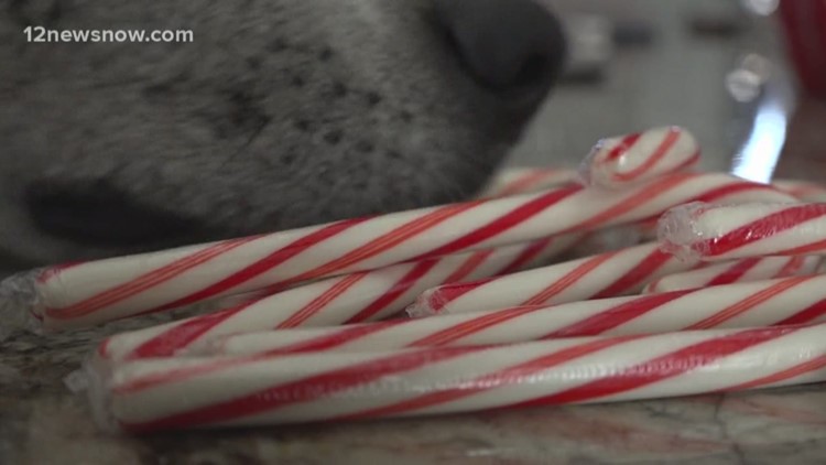 Groves Woman Warns Pet Owners Of Dangerous Ingredient In Sugar Free Candy Canes After Dog Dies 12newsnow Com