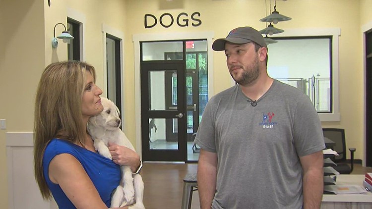 KENNICK'S COMMUNITY: Humane Society of SE Texas offers tips to keep dogs safe over Fourth of July