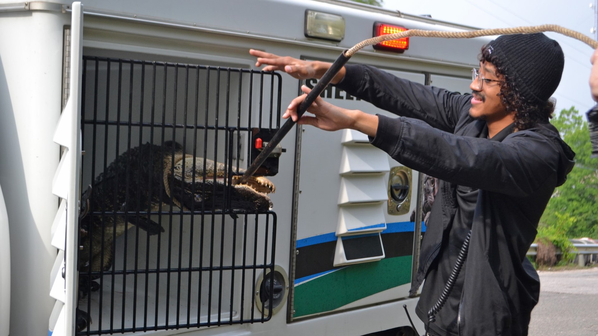 Beaumont Animal Care officer grabs 6 foot gator off downtown street