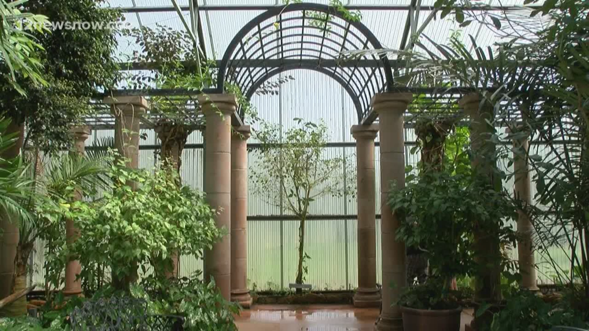 Beaumont Botanical Gardens plant sale will benefit gardens recovery from Harvey