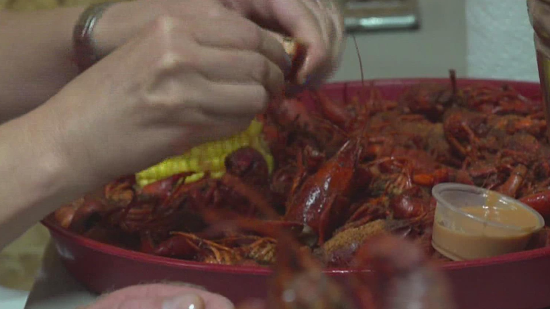 Every day this week, close to 200 sacks of crawfish are being purged, cleaned, and stored.