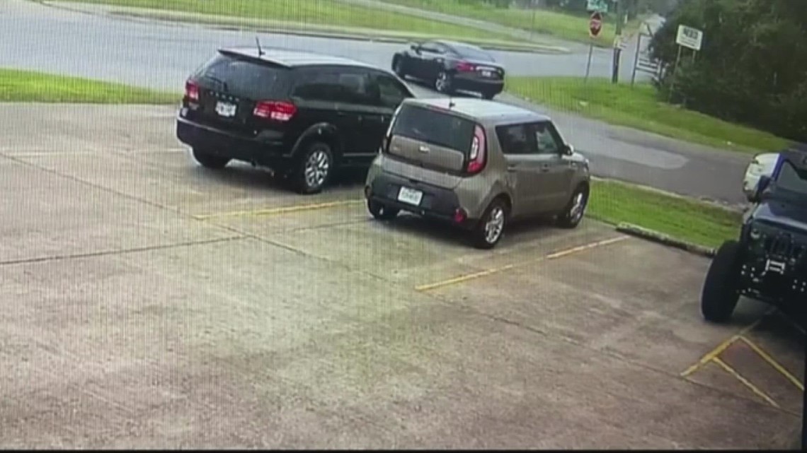 Beaumont Animal Care asking for help after dog was dumped, abandoned in