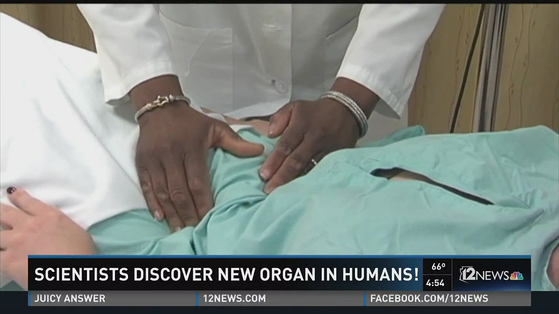 Scientists discover new organ in humans called the mesentery.