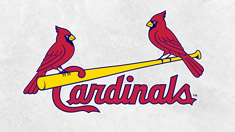 Cardinals donate more than $150,000 in grants to local groups | 0
