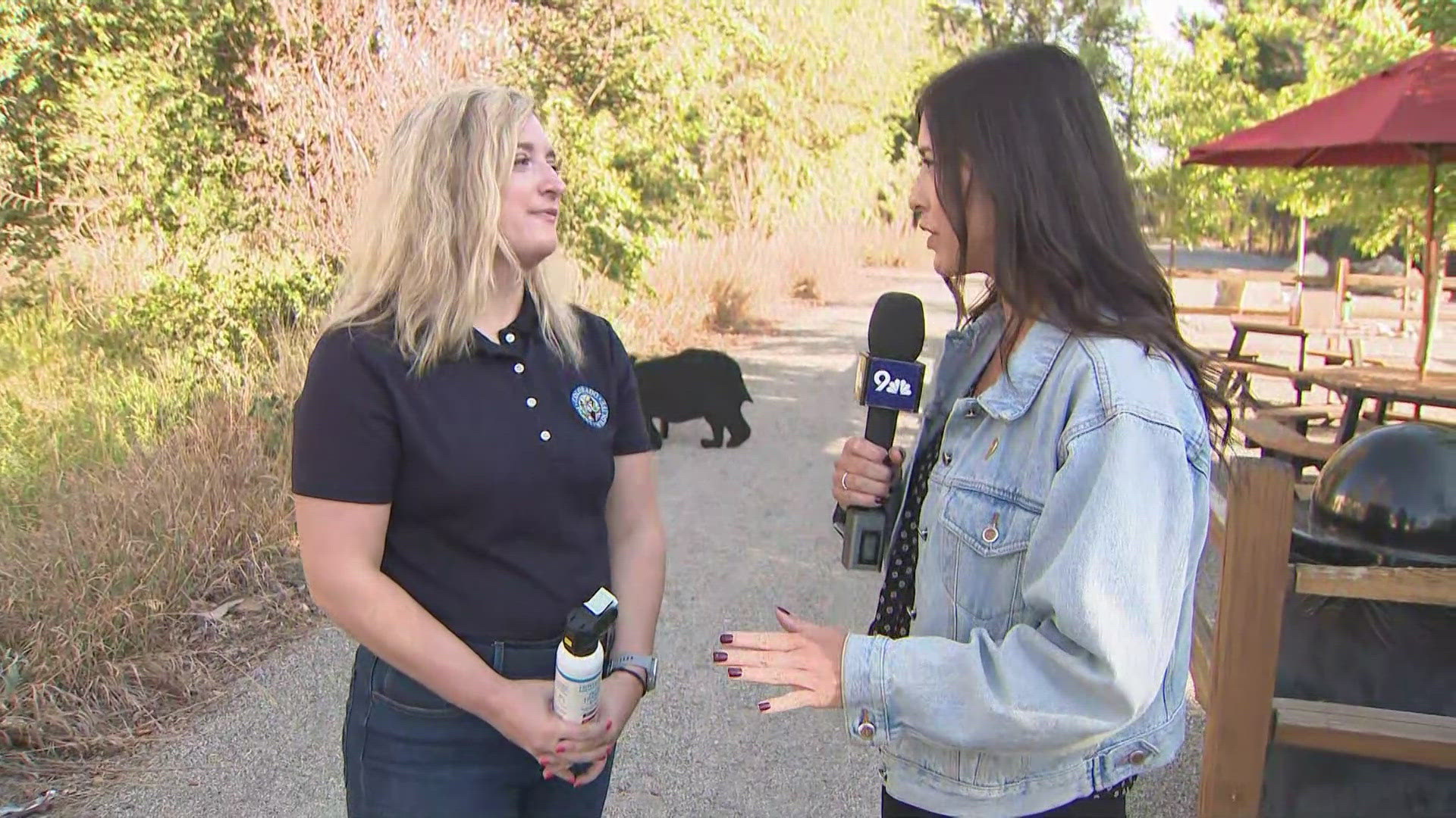 Colorado Parks and Wildlife is reminding people to be aware as bears become more active in search of food ahead of hibernation.