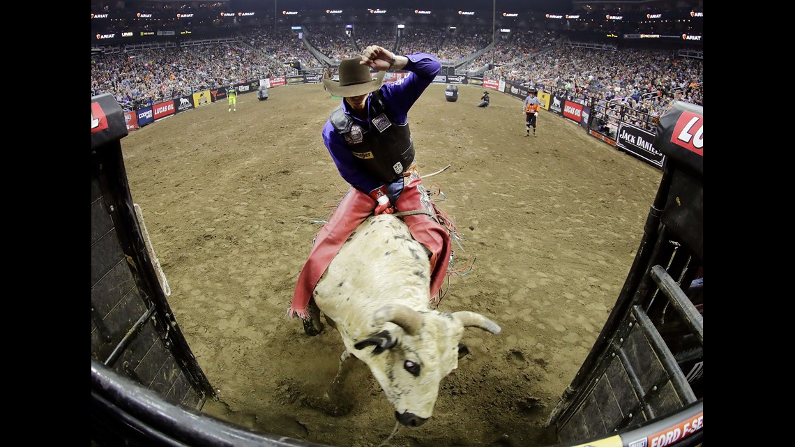 Bull rider dies after being injured during event at National Western