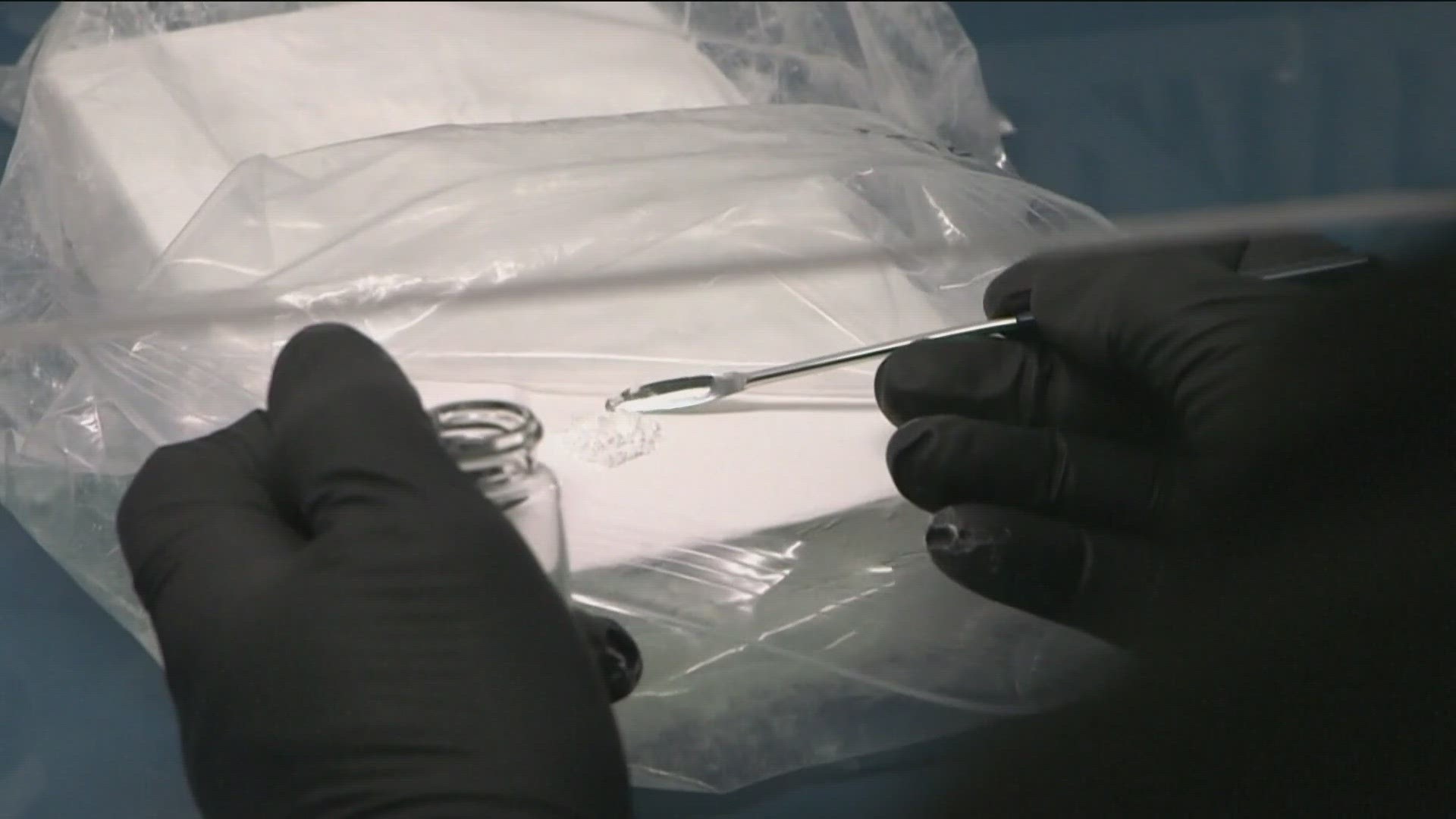 County medical experts confirmed five xylazine-related overdose deaths occurred in August.