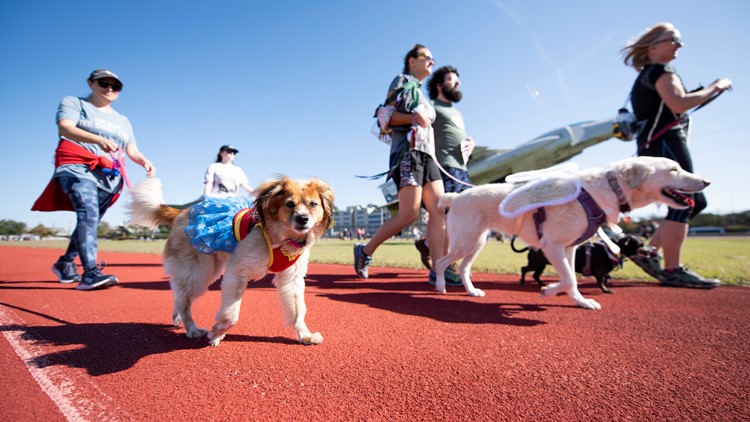 Hundreds of pups join in Mighty Texas Dog Walk