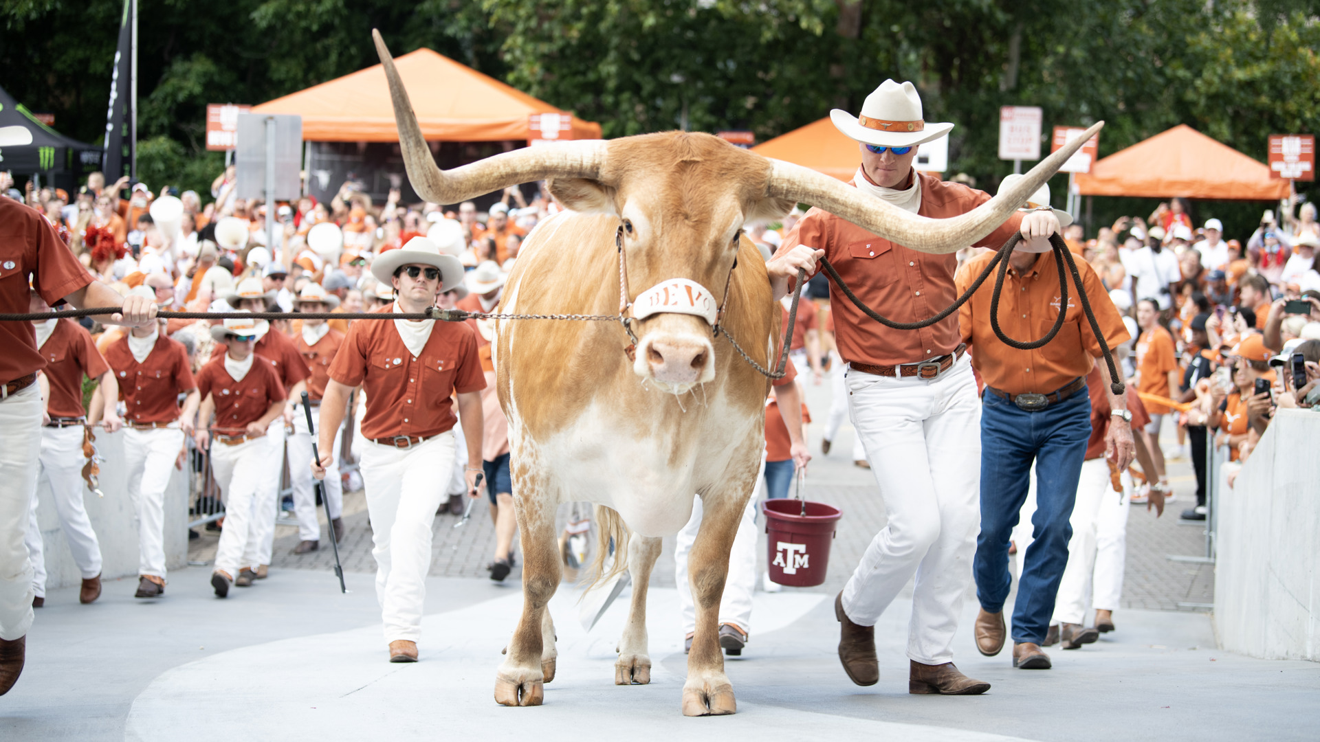 Will Bevo Be At The SEC Championship Game? | 12newsnow.com