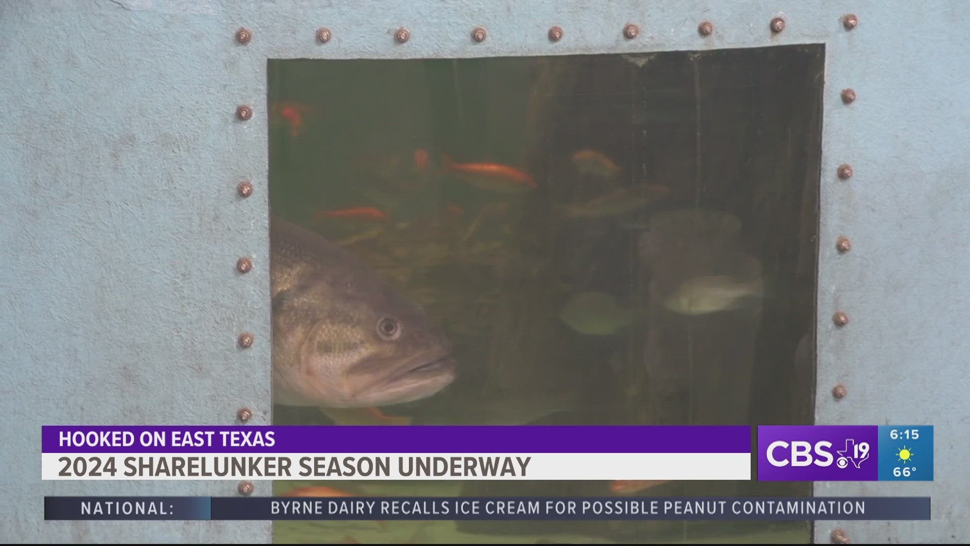 The Toyota ShareLunker program is off to another hot start! Every year, this quest to create bigger, better bass fishing in Texas puts science front and center.