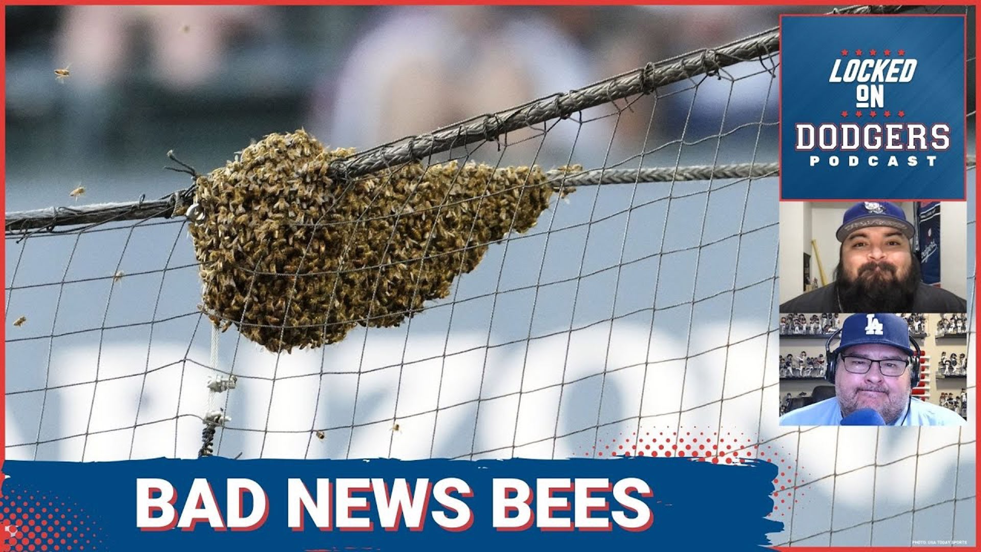 Los Angeles Dodgers Delayed By Bees, Done In By Cold Bats + Chris