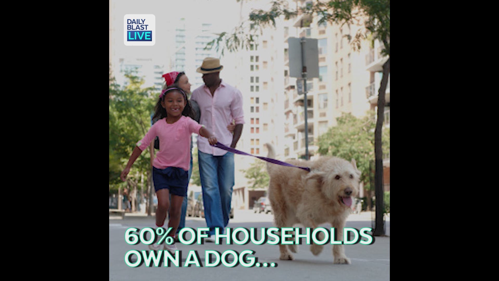 American households spend TONS of their pets!