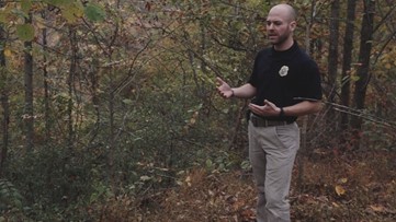 Appalachian Unsolved: Who killed the girl in the woods? | 12newsnow.com