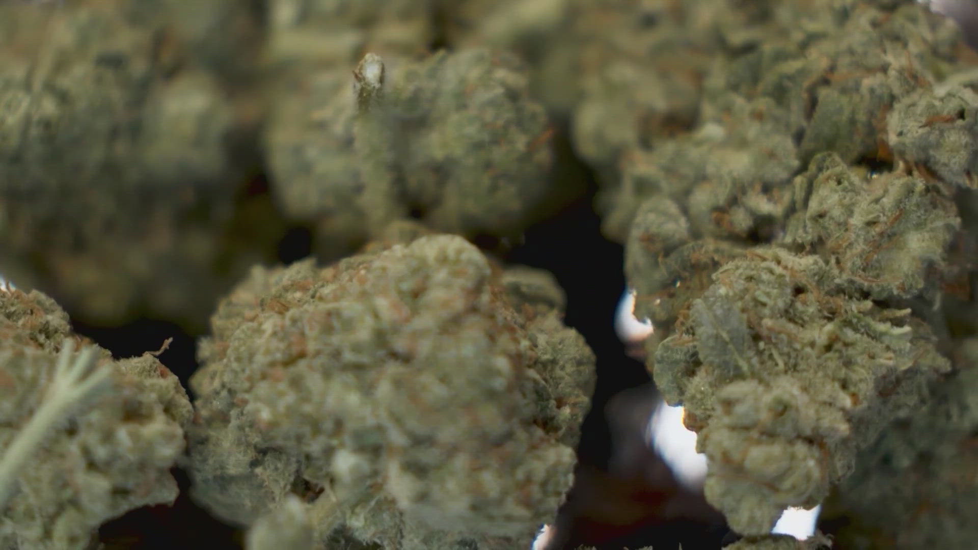 The governor has not addressed whether he supports the ban, as hemp industry leaders have urged him to veto Senate Bill 3.