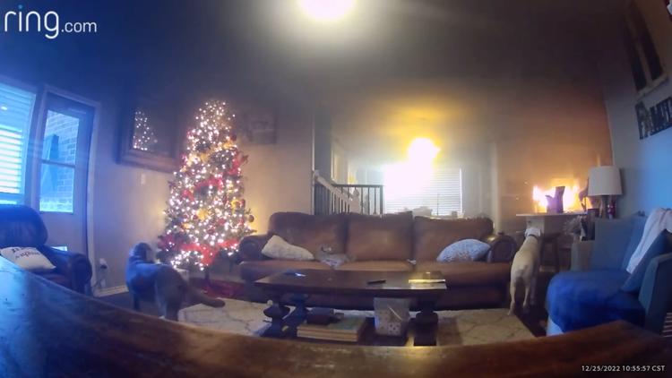 Dog started fire in Texas home on Christmas morning, family says