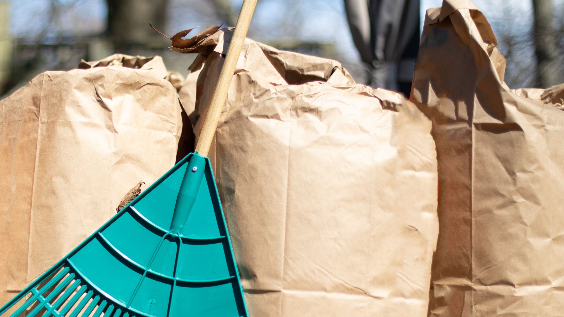 Andrew Horn of Horn Farm has taken it upon himself to teach a class on learning how to dispose of yard waste by making an outdoor compost pile.